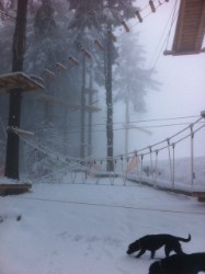 Kletterwald Kletterwald
